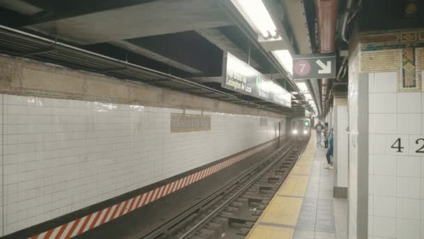 Büyük merkez metro istasyonu, New York — Stok video