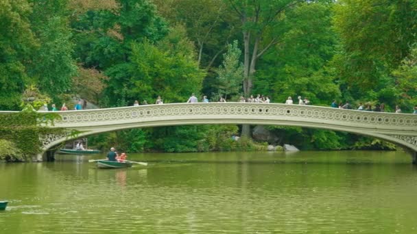 Central Park, New York 'taki Pruva Köprüsü. — Stok video