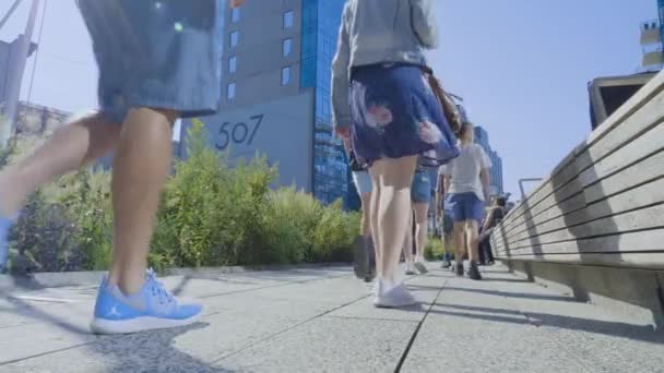 The High Line - возвышенный парк в Нью-Йорке — стоковое видео