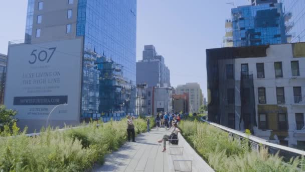 La High Line un parque lineal elevado en Nueva York — Vídeos de Stock