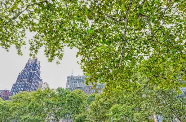 Edifici e grattacieli circostanti visibili dal Bryant Park, New York — Foto Stock