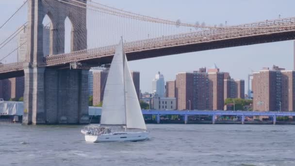 New York Manhattan och Brooklyn Bridge — Stockvideo