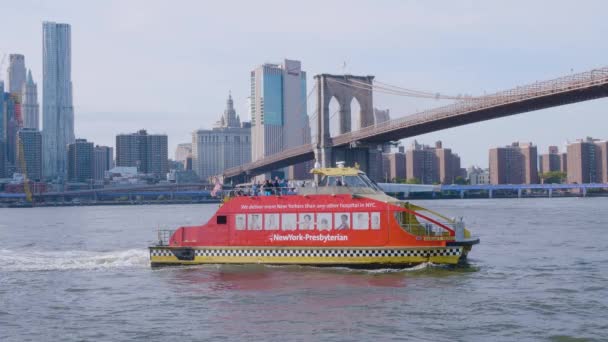 New York Manhattan och Brooklyn Bridge — Stockvideo