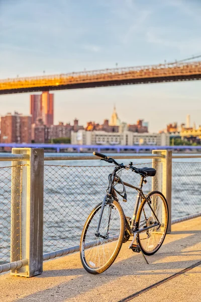 Bisiklet ve Manhattan Panoraması