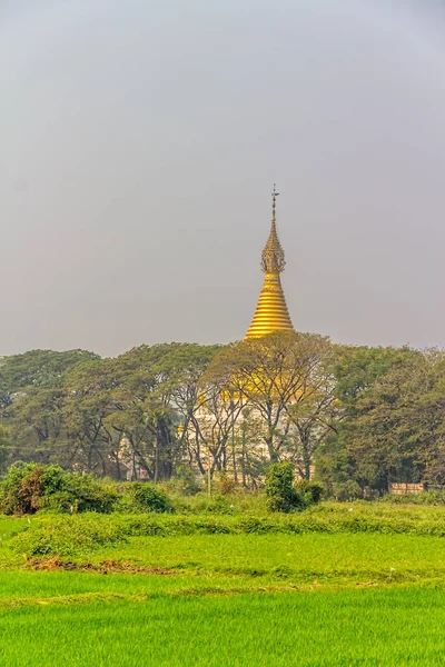 Lawka Tharahpu Pagoda — Stok fotoğraf