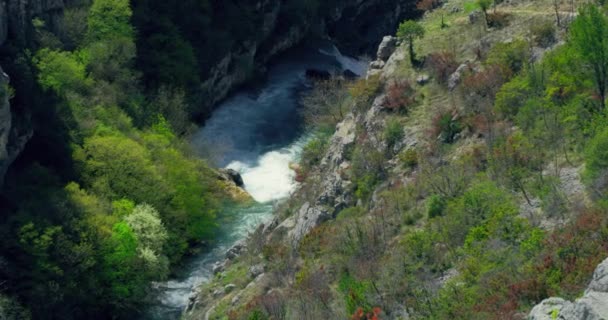 Rivier Cikola canyon in Kroatië — Stockvideo