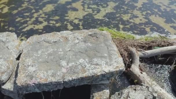 Drone vista de la antigua pasarela en el río Cetina — Vídeo de stock