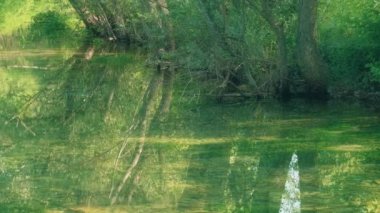 Hırvatistan 'ın Cetina Nehri' nin Kaynağı