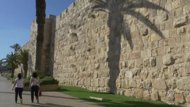 Δυτική άκρη της Ιερουσαλήμ Παλιά Πόλη με ένα φοίνικα — Αρχείο Βίντεο