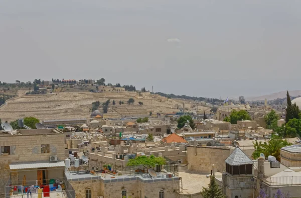 Monte de los Olivos en Jerusalén — Foto de Stock