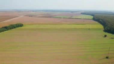 Hırvatistan 'ın Slavonya kentinde bitmek bilmeyen tarlaların havadan çekimi