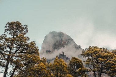 La Palma adasından büyük bir taş oluşumu.