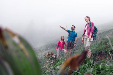 Ormanda, dağlık bölgede yürüyüş yapan bir grup kleinwalsertal Avusturya.