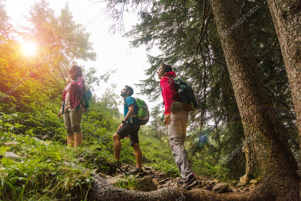 Group of hikers walking in forest, mountain region kleinwalsertal Austria.