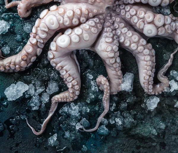 Vista Cerca Del Pulpo Fresco Con Hielo Superficie Gris —  Fotos de Stock