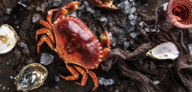 top view of crabs, oyster, ice and knife on dark surface