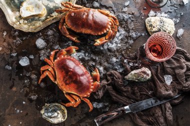 close-up view of crabs, oysters and knife with ice on dark surface 