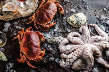 top view of various seafood, octopus, crabs and oysters with ice on dark surface