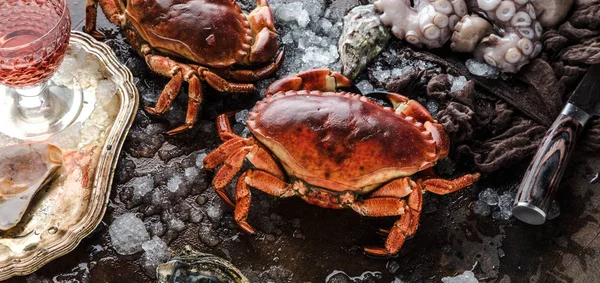 close-up view of crabs, octopus and oysters with ice on dark surface   
