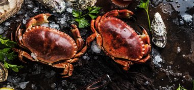 top view of crabs and oysters with ice and herbs on dark surface  