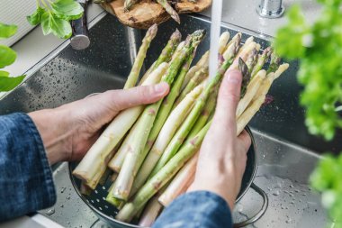 taze kuşkonmaz mutfak lavaboda yıkama erkek el atış kırpılmış