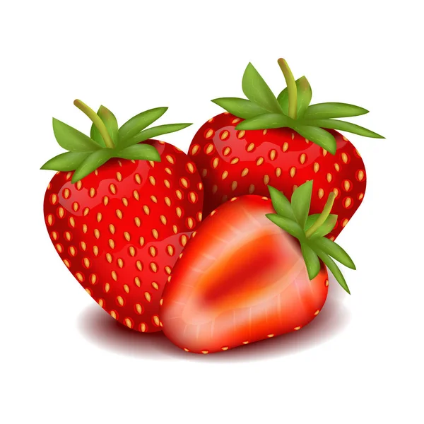 Fraise réaliste. L'été. Vitamines utiles isolées sur fond blanc . — Image vectorielle