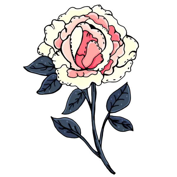 Pioenrozen. Mooie bloemen. Handmatig getekend. Lente. Een verzameling van planten. Voor ansichtkaarten, covers. — Stockvector