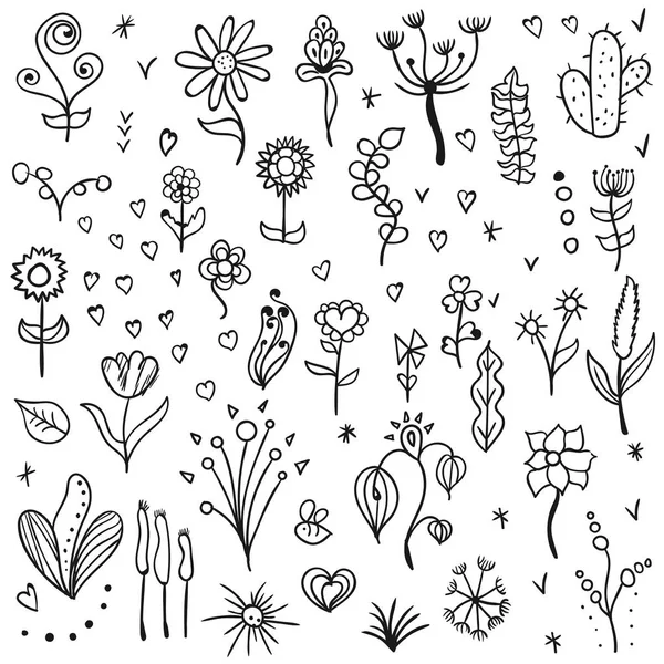 Set van handgetekende bloemen. Twirls. Gras. De zwarte. Voor uw ontwerp. — Stockvector