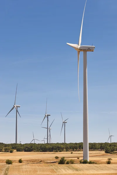 Ветрогенераторы в сельской местности. Чистая альтернатива возобновляемым источникам энергии — стоковое фото