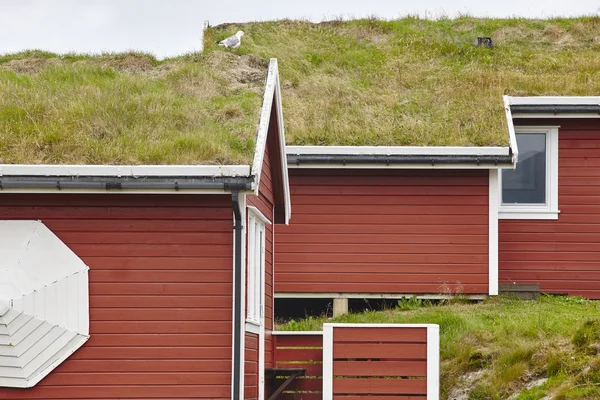 Tradycyjny czerwony drewniany norweski kabiny z ziemi na dachu. — Zdjęcie stockowe