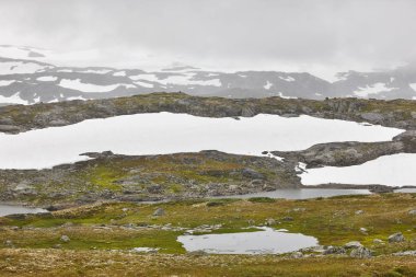 Norveç kayalık dağ manzarası ile kar ve sis. Norveç tre