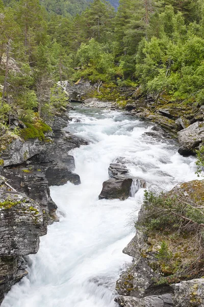 Noruega paisaje con montañas forestales y río Raúl. Andalsne — Foto de Stock