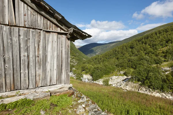 Traditionele Noorse houten boerderij en bos. Noorwegen landelijke landt — Stockfoto