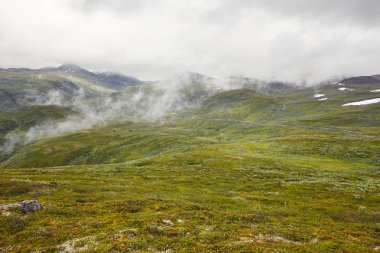 İkincil yol ile Norveç yeşil dağ manzarası. Norveç h