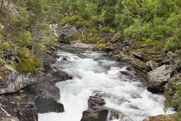 Noruega paisaje con montañas forestales y río Raúl. Andalsne — Foto de Stock