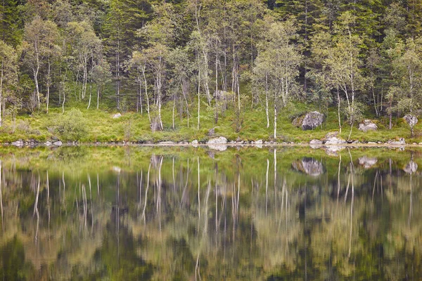 Норвежский летний пейзаж с лесом и озером. Пустопорожний Ро — стоковое фото