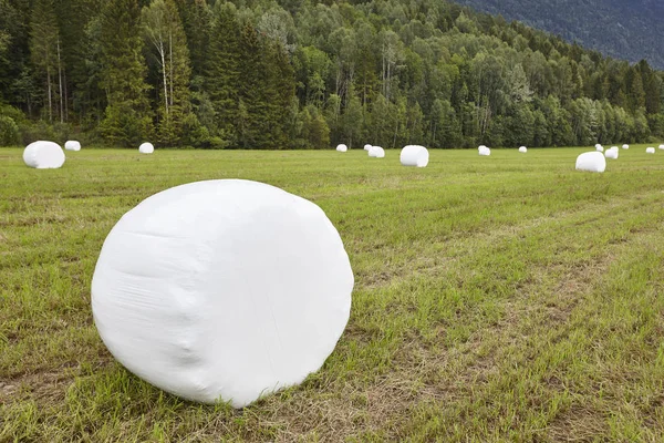 Embalado de hierba fresca en el campo. Paisaje noruego. Agri — Foto de Stock