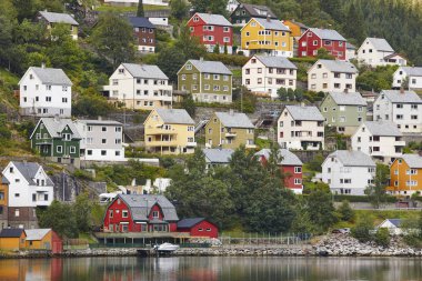Renkli evleri ve ön ile geleneksel Norveç Fiyordu Köyü