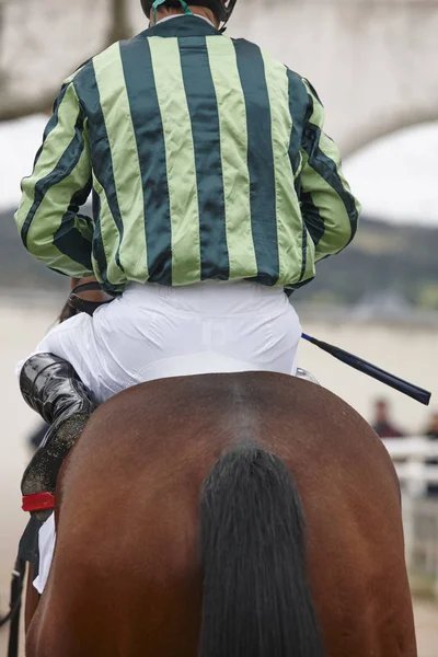 Cavalo de corrida com jóquei pronto para correr. Área do cais — Fotografia de Stock