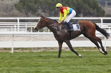 At yarışı son acele. Rekabet spor. Hipodrom. Kazanan. SP
