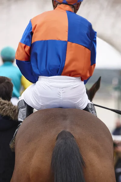 Cavalo de corrida com jóquei pronto para correr. Área do cais . — Fotografia de Stock