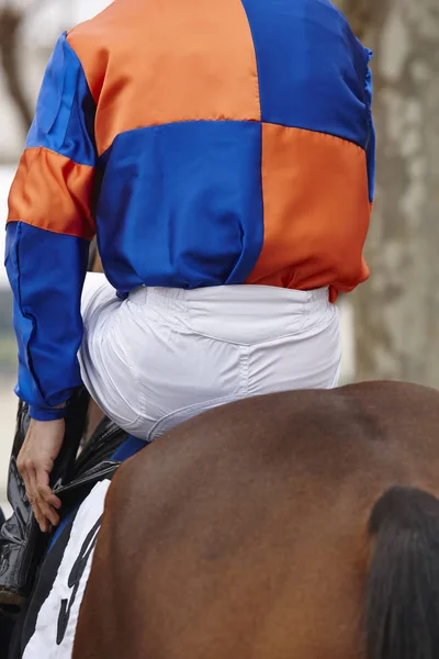 Cavalo de corrida com jóquei pronto para correr. Área do cais . — Fotografia de Stock