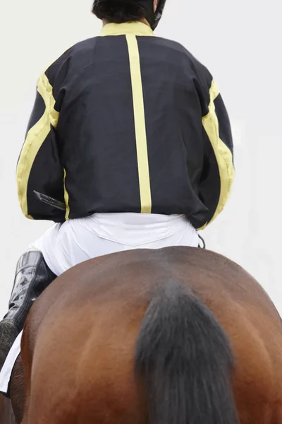 Cavallo da corsa con fantino pronto a correre. Zona paddock . — Foto Stock