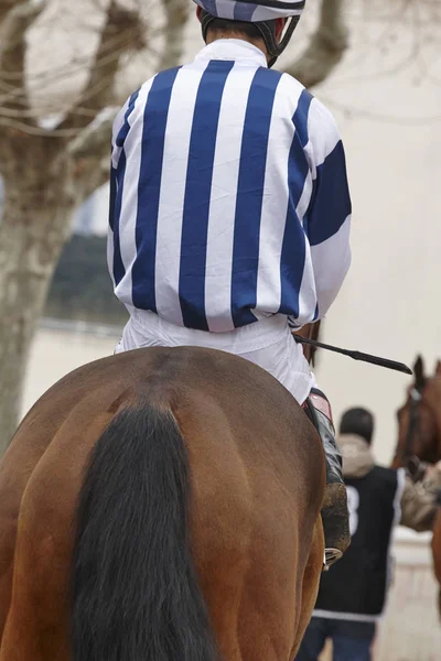 Caballo de carrera con jinete listo para correr. Zona de Paddock . — Foto de Stock