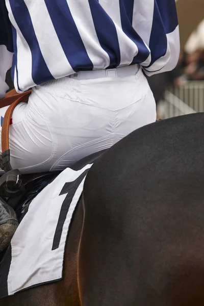 Cavallo da corsa con fantino pronto a correre. Zona paddock . — Foto Stock