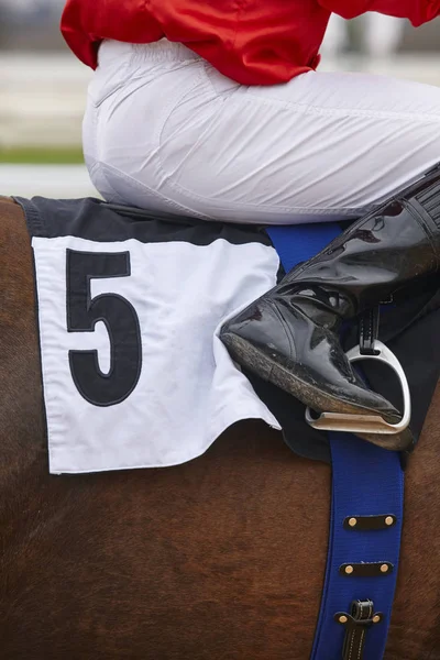 Cavalo de corrida com jóquei pronto para correr. Área do cais . — Fotografia de Stock