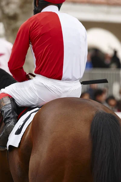 Race horse with jockey ready to run. Paddock area.