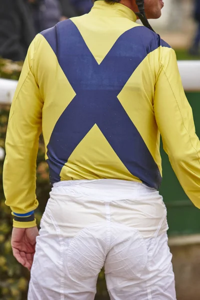 Jockey detail before the race. Hippodrome background. Racehorse. — Stock Photo, Image