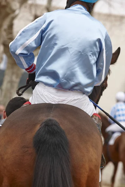 Wedstrijd paard met jockey klaar om te draaien. Paddock gebied. — Stockfoto
