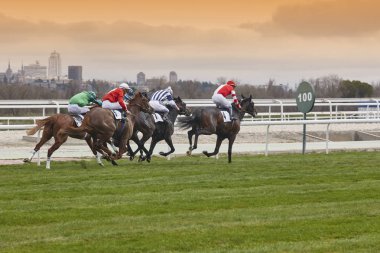 At yarışı son acele. Rekabet spor. Hipodrom. Kazanan. SP